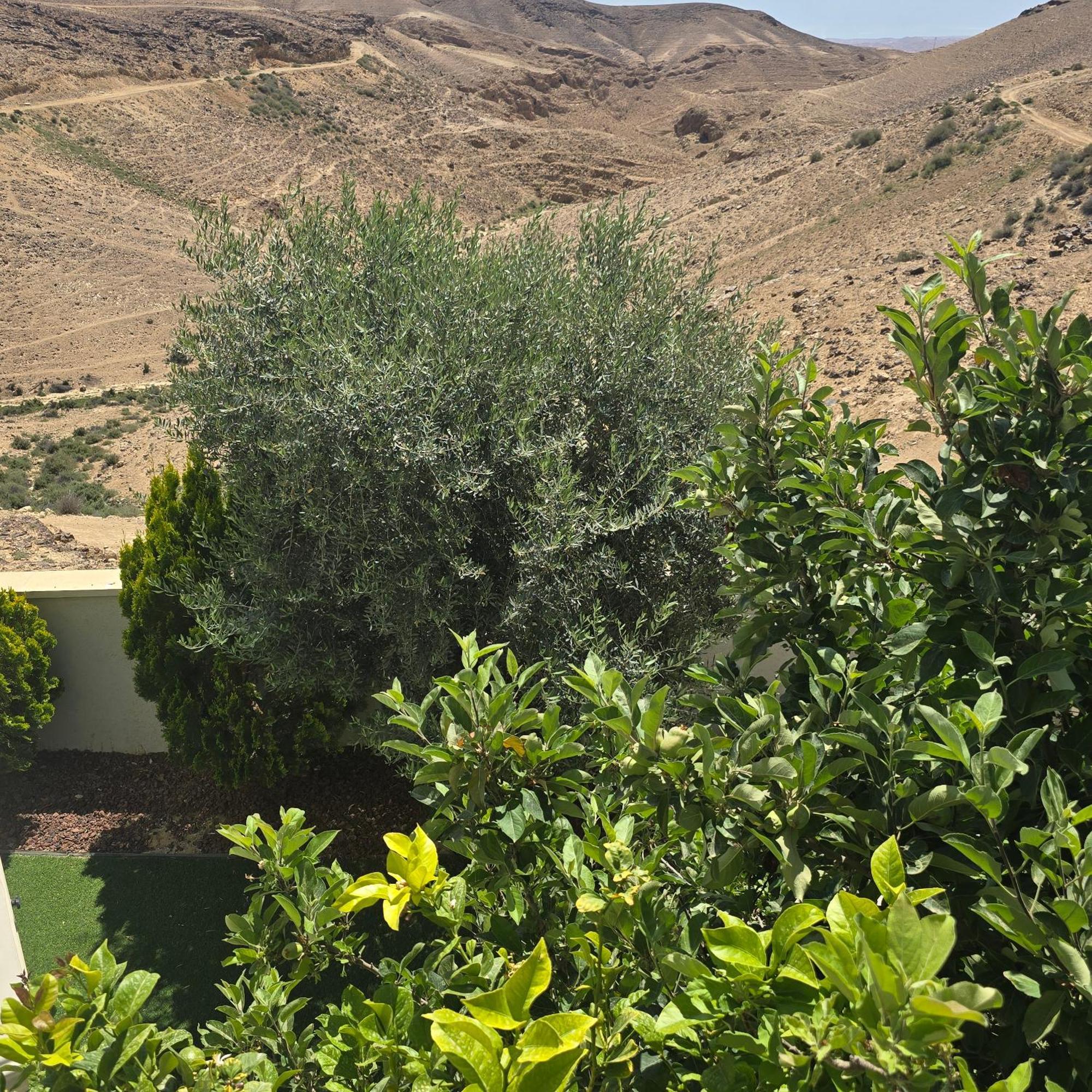 " Arada " Luxury House Villa Luaran gambar